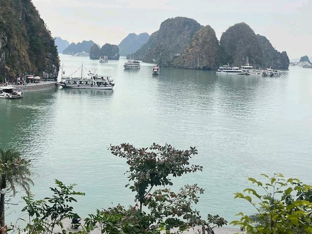 Sailing Through Paradise: The Timeless Beauty of Ha Long Bay