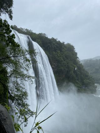 안개와 신비로 가득한 황과수