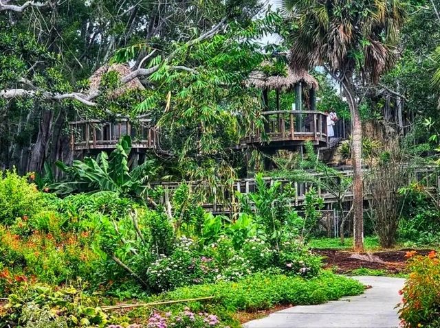 🌺 Marie Selby Botanical Gardens – A Tropical Oasis by the Bay 🌺 Marie Selby Botanical Gardens – A Tropical Oasis by the Bay