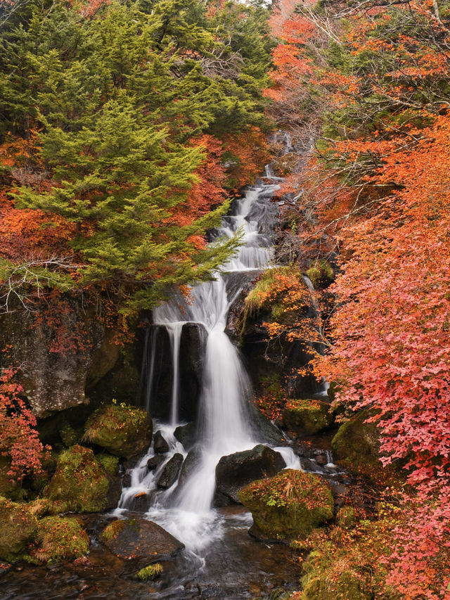旅行前に見て】観光攻略付‼️岩肌を流れ落ちる迫力満点の滝絶景へ🌊 🐉🍁✨  旅行前に見て】観光攻略付‼️岩肌を流れ落ちる迫力満点の滝絶景へ🌊 🐉🍁✨