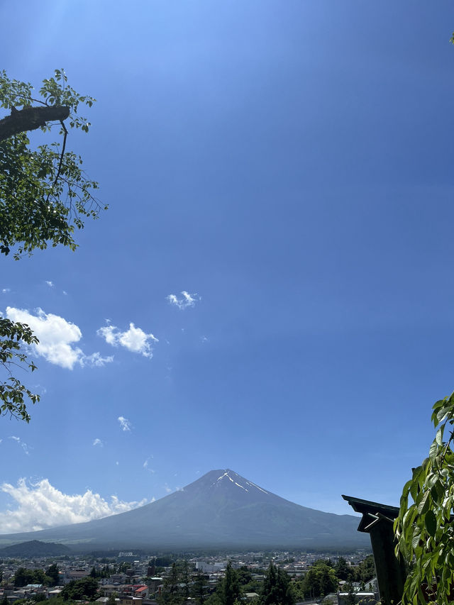 【秋日限定】淺間公園的夢幻畫面