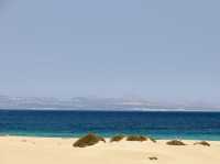 Golden Sands and Endless Freedom on Fuerteventura