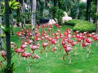 🌴 泰國🇹🇭東芭樂園「花園裡的熱帶奇幻世界」