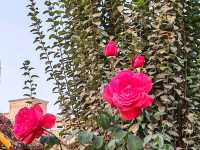 Amanishah Khan Square: Where History and Art Converge