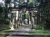 【福井・白山神社平泉寺🌿】苔の聖地で感じる静寂と神仏習合