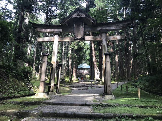 【福井・白山神社平泉寺🌿】苔の聖地で感じる静寂と神仏習合