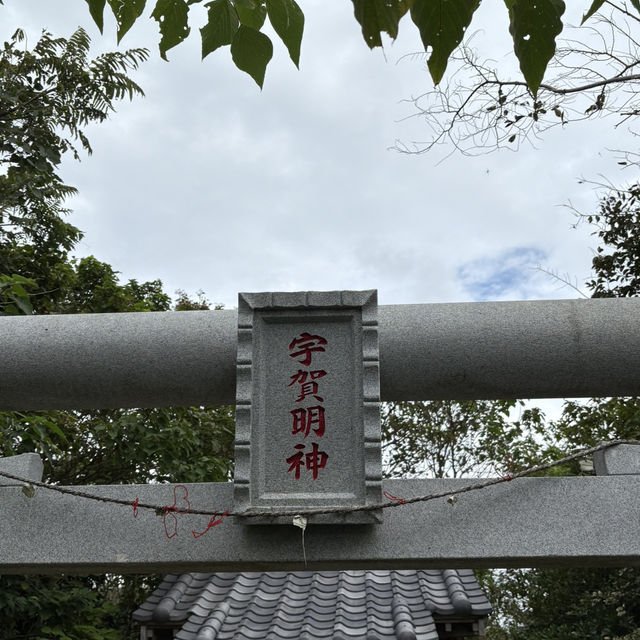 【千葉/館山🇯🇵】歩いて渡れる奇跡の無人島🌊沖ノ島