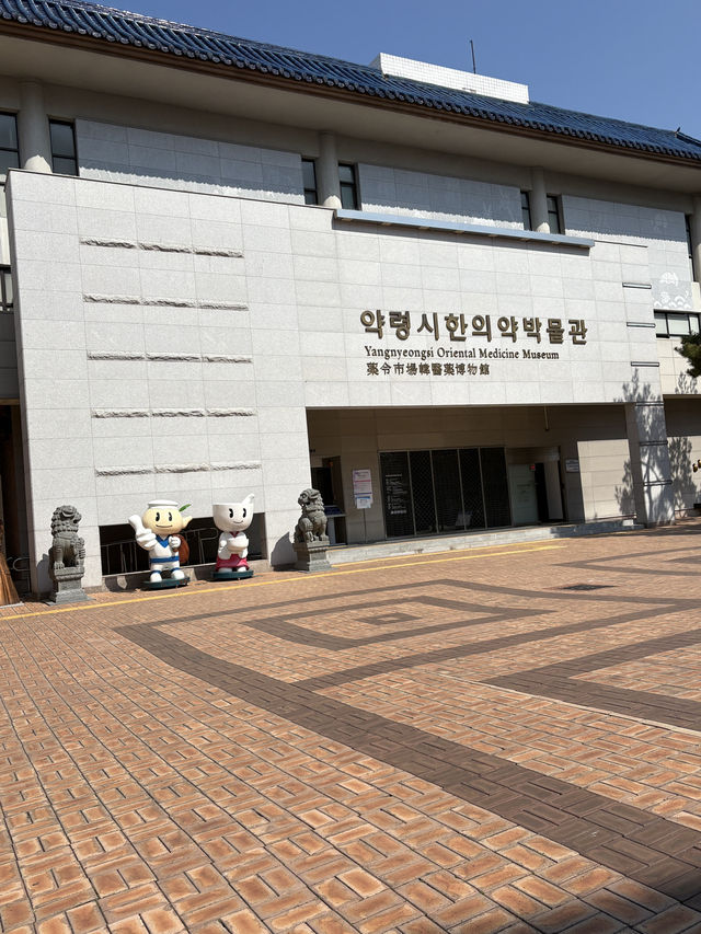 ARMYによる釜山→大邱へ日帰り旅🧳