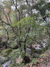 양평에 이렇게 좋은 계곡과 산사가🌿