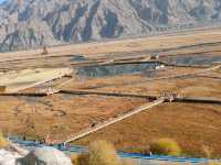 A Bird's-Eye View of the Golden Grassland: A Golden Scroll on the Pamir Plateau