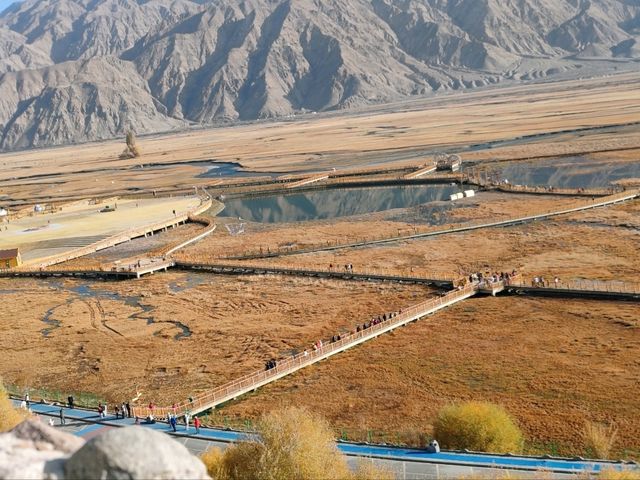 A Bird's-Eye View of the Golden Grassland: A Golden Scroll on the Pamir Plateau