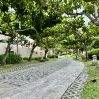 🌸入住期待已久的花蓮理想大地🌴果然沒讓我失望