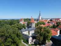 【エストニア】パットクリ展望台