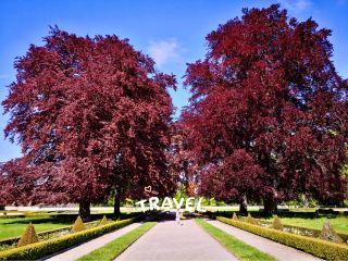 故事書花園🌺城堡花園和捷克克魯姆洛夫的完美午餐