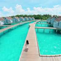 Endless Romance at Kuramathi Maldives