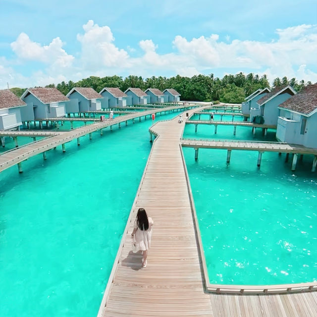 Endless Romance at Kuramathi Maldives