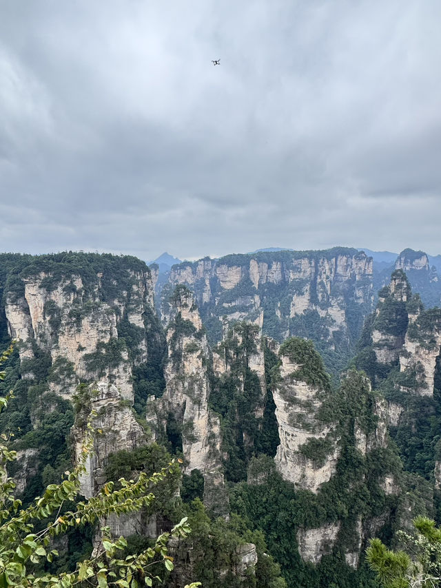🌄 Zhangjiajie National Forest Park Travel Guide | Avatar Mountains in Real Life 🌄 Zhangjiajie National Forest Park Travel Guide | Avatar Mountains in Real Life