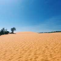 Red Sand Dunes: สัมผัสเนินทรายแดง วิวสุดมหัศจรรย์