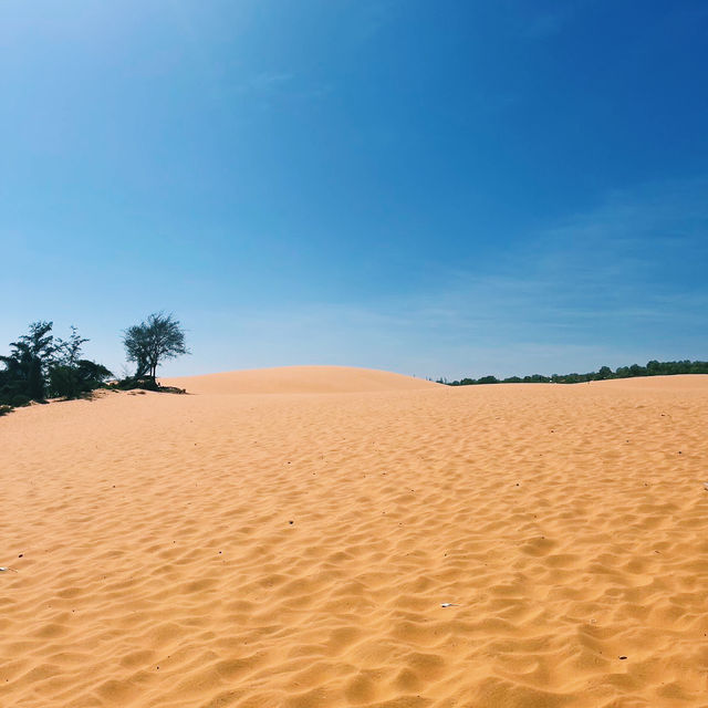 Red Sand Dunes: สัมผัสเนินทรายแดง วิวสุดมหัศจรรย์ Red Sand Dunes: สัมผัสเนินทรายแดง วิวสุดมหัศจรรย์