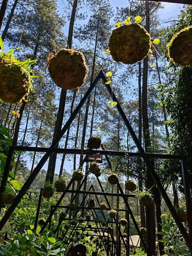 A Forest Sanctuary at Orchid Forest Cikole A Forest Sanctuary at Orchid Forest Cikole