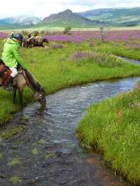 Gorkhi-Terelj National Park 