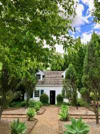 🌿悉尼北區秘境一日遊|離城市最近的「世界公園」