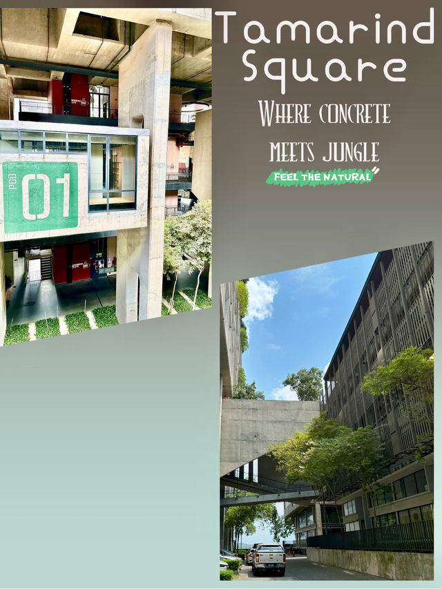 Modern Oasis Guide🌿 A Hidden Pulse Beyond the Runway: Tamarind Square, Sepang