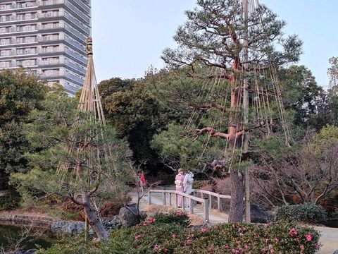 【日本 | 名古屋】意外的日式幽徑:名古屋白鳥庭園,倉促卻寧靜的城市綠洲 【日本 | 名古屋】意外的日式幽徑:名古屋白鳥庭園,倉促卻寧靜的城市綠洲