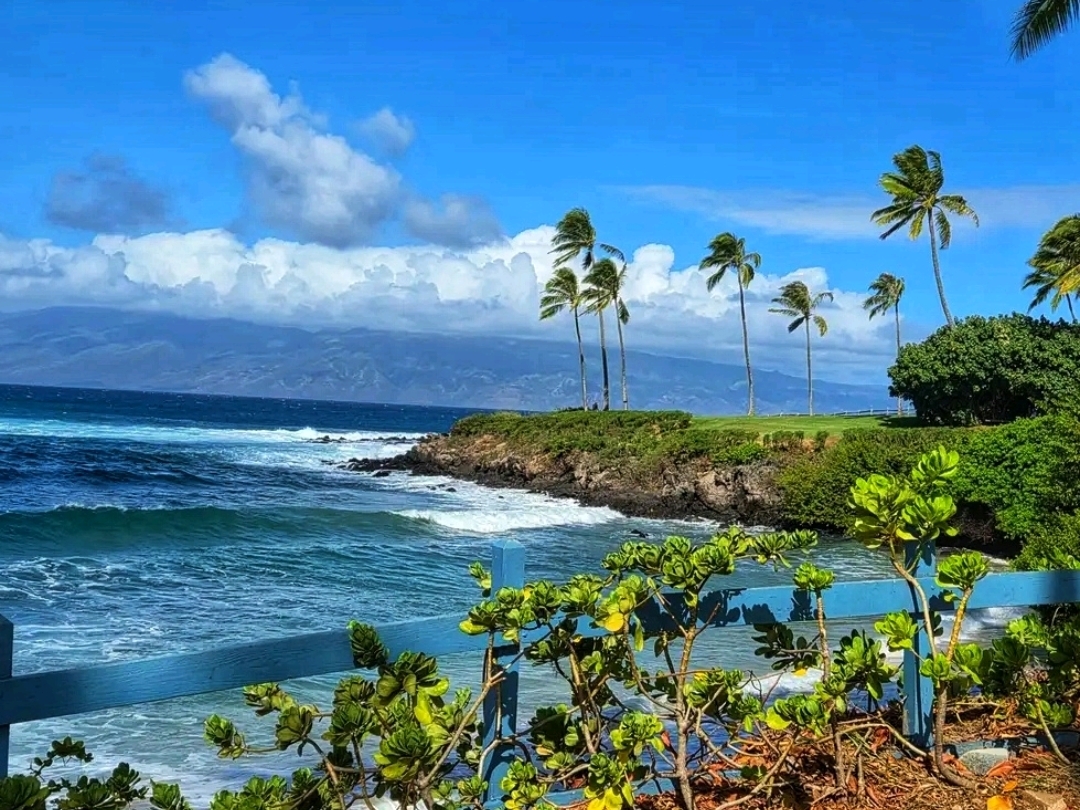 🌴🌊 Kapalua Coastal Trail – Maui’s Stunning Oceanfront Path