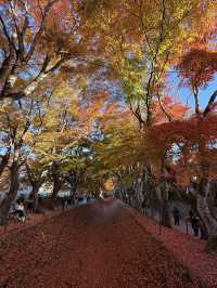 Quineville Fall Vibes & Fuji Views: Ultimate 3-Day Itinerary 🍁🌄