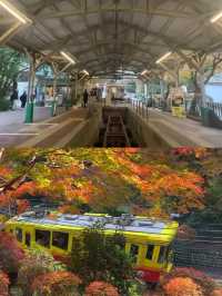 東京後花園｜高尾山｜闖入絕美紅葉油畫世界🍁