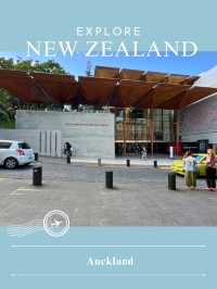 【NZ】🌿 Aucklandの街|海と緑が心地よく共存する都市