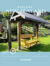 【NZ】🌿 Aucklandの街|海と緑が心地よく共存する都市