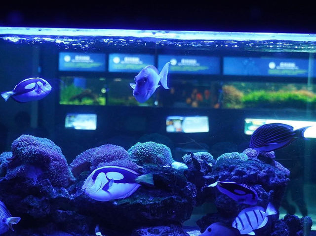 農業科技園區觀賞水族展示廳 農業科技園區觀賞水族展示廳