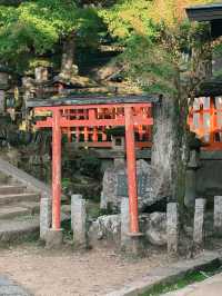【奈良市】学問の神様も歌を詠んだ紅葉名所『手向山八幡宮』