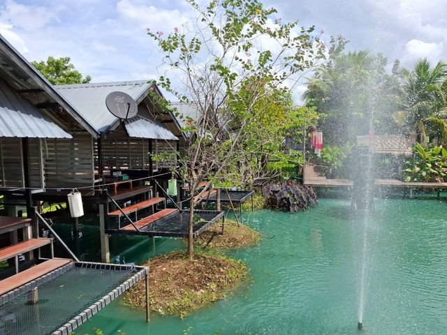 คาเฟ่บรรยากาศท้องทุ่ง @ ภูเขียว