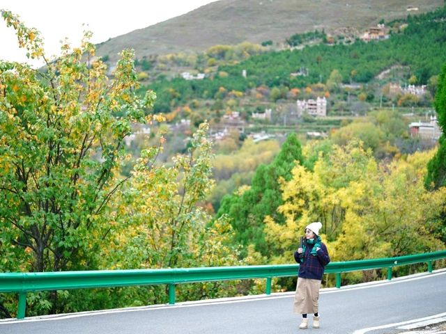 ที่พักหมู่บ้านเจียจู Jiaju Secret Realm Starry Sky