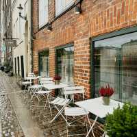🇩🇰 Restaurant 1733: A Taste of Classic Danish History