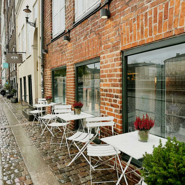 🇩🇰 Restaurant 1733: A Taste of Classic Danish History