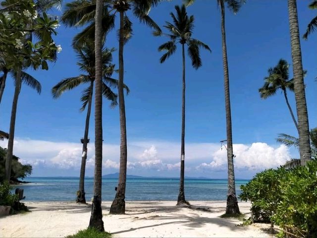 หาดทรายละเอียด อ่าวโลมาเกา เกาะพีพี สวยจึ้ง!! หาดทรายละเอียด อ่าวโลมาเกา เกาะพีพี สวยจึ้ง!!