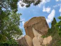 A Seam of Green in the City's Fabric