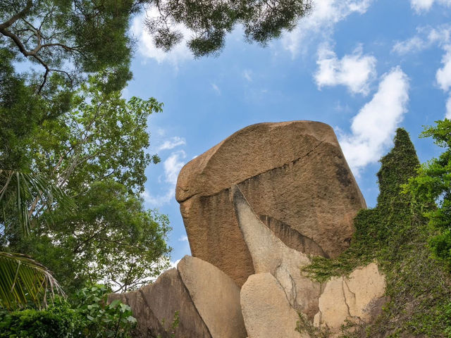 A Seam of Green in the City's Fabric A Seam of Green in the City's Fabric