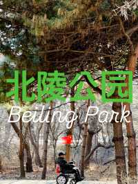 🇨🇳 선양 시민들의 휴식처 북릉공원