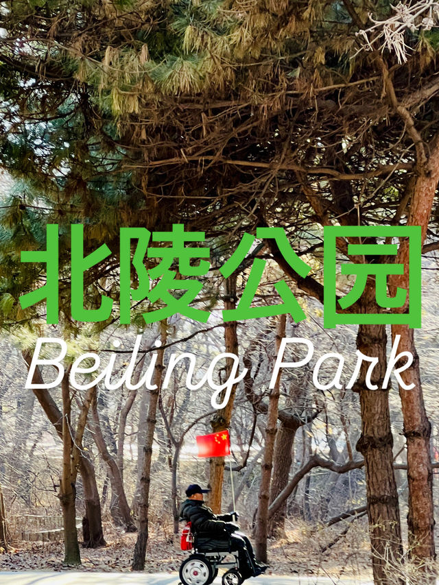 🇨🇳 선양 시민들의 휴식처 북릉공원 🇨🇳 선양 시민들의 휴식처 북릉공원