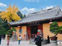 Longhua Temple