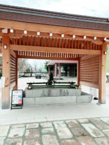 ⛩️✨大阪最古老能量點!生國魂神社求姻緣、斷惡緣靈到不行!✨⛩️