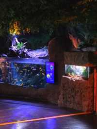 SEA LIFE  ย้อนวัยเด็กที่อควาเรียมกลางกรุง 🐠🪼🪸