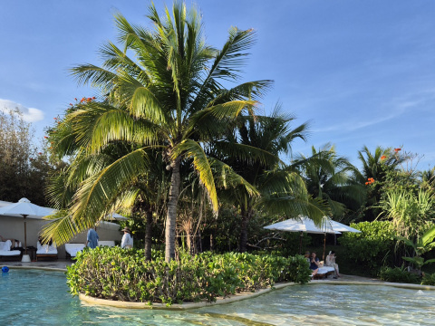 🌿 Тропический отдых в пышном саду, Ана Мандала Камран 🌴 | Trip