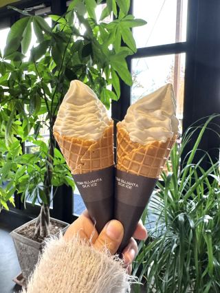 【熊本】用農場新鮮牛奶製作的軟冰淇淋很受歡迎🍦