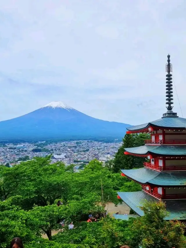 魔法般的家庭冒險：富士吉田與富士河口湖的絕美景色
